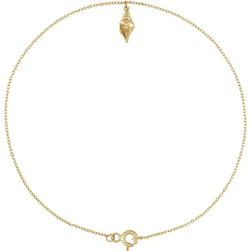 14K Yellow Gold Shell 9" Anklet